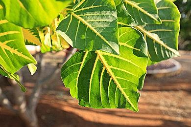 传闻：《狼奔豕突2：消失的信号》7月12日发售